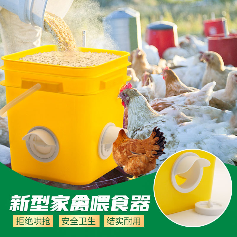 Comedero automático transfronterizo para pollos, bebedero automático para pollos, dispensador automático de agua para pollos, comedero tipo canal para pollos, puerto de alimentación para pollos.