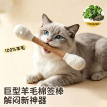 ؈���S�������ë�޺���؈��؈�������˽␞��ҧĥ������؈��Ʒ