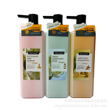 植物语录小苍兰香氛洗发露老姜王清爽洗发乳小黑裙香氛洗发水