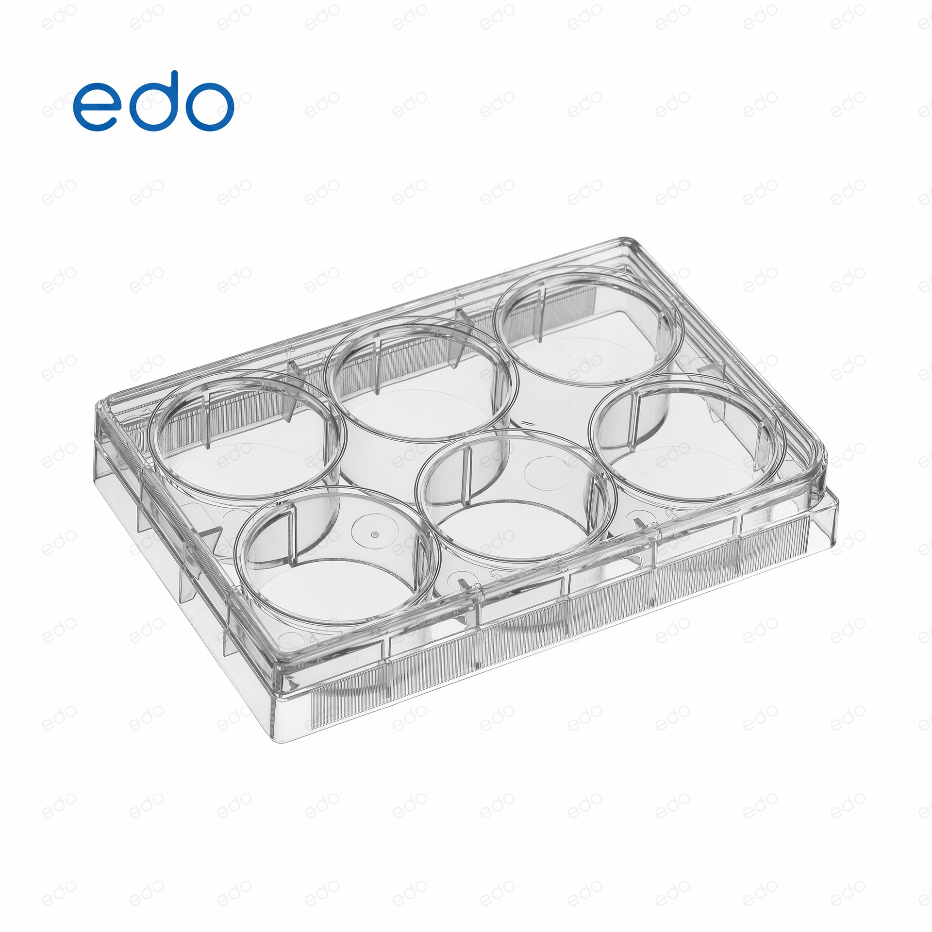 一斗细胞培养板6孔等离子处理1353006 聚苯乙烯材质