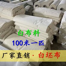 ������Т�����޲��C���Ϲ��I�ñ���̎��覴ò�100��