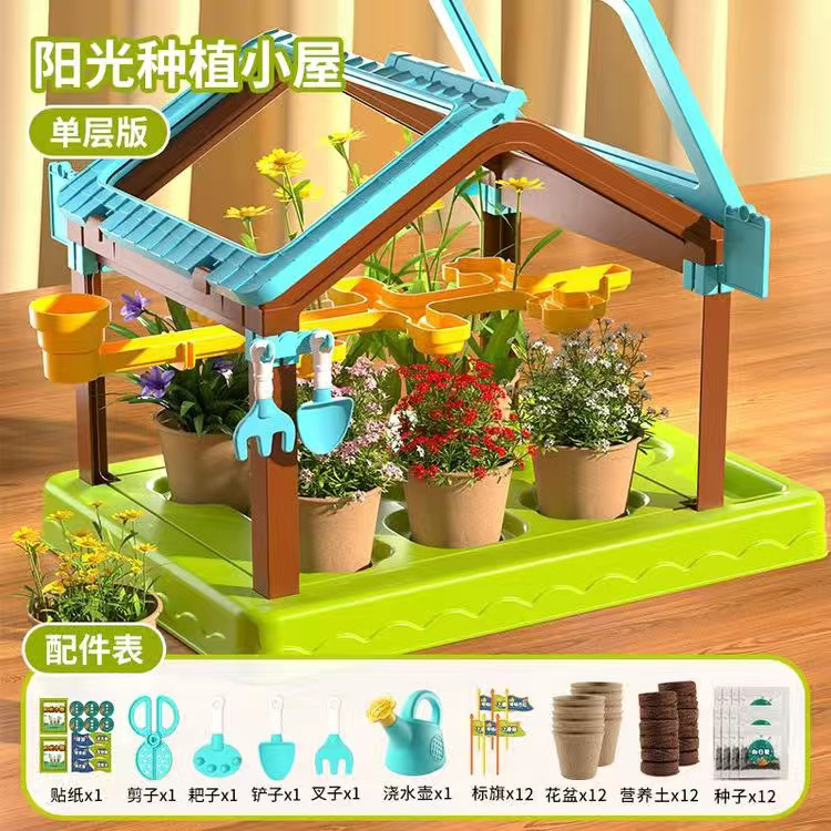 [절묘한 선물 상자] 단층 햇빛 방 12 씨앗 세트