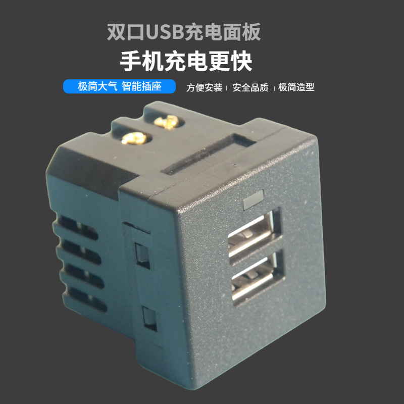 118型桌插双孔USB充电器交流220V接入输出2.1A手机供电镶入式模块