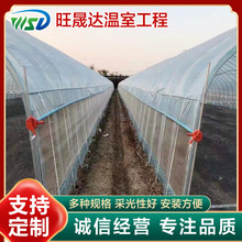 ���ϱ�Ĥ�B�����Ҵ��ﻨ���Bֳ��ݮ��ժ�@���� �߲�ů���չ��