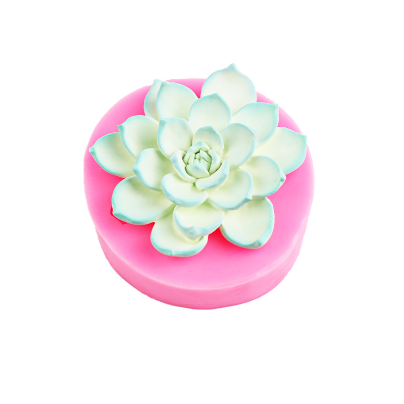 3D tridimensional suculenta silicona molde aromaterapia yeso vela epoxi jabón molde chocolate pastel mousse Decoración