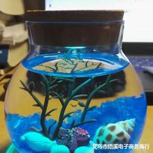 ΢���^�ʟ�͸��ˮ�岣��ƿ����Ҿ��ܷ�ޕr���S�ƿ�S��