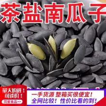 新疆黑美人茶盐南瓜子30斤/袋大量批发 南瓜籽炒货零食茶盐南瓜子