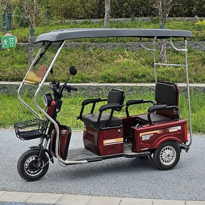 Elektromobil üçün ön şüşə çətiri (günlük) leisure minibus rain shelter, foldable