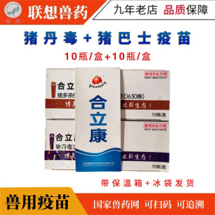 �i���������i �����԰�ʿ�U�� �i���� С�i���� �i���� �Fș�i