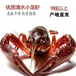 ��������ʻ�С��Ϻ9Ǯ���� �ذ�ɾ���ˮС��Ϻ��������ȫ������