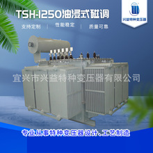 厂家供应TSH-1250 油浸式磁调可按需定磁性调压器多种配置可选