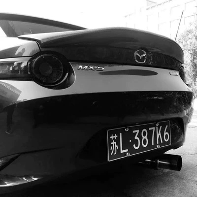 Fixed wind wing Max-5 Carbon Fiber Rear Wing