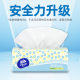 Vida Paper Fine Tough 100 Paper 24 Pack Household Whole Case of Raw Wood Pulp Facial Tissue Toilet Paper Napkin
