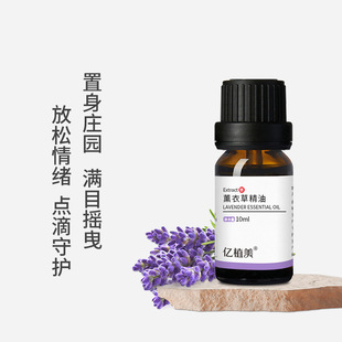 ޹�²݆η����ͼ�ֲ�﷼��������޹�ҾӔU��ľ�沿�c�T���w��Ħ��