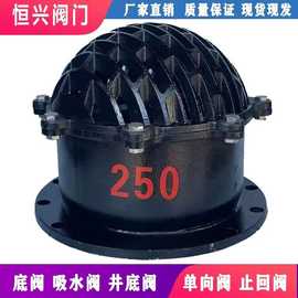 H42X-6法兰底阀 单向阀止回阀 铸铁水泵底阀DN50 80 100 150 200