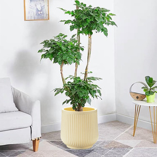 Large Diameter Round Plastic Flower Pot Thickened Blow Cement Imitation Large Green Plant Pot Living Room Flower Decorative Pot