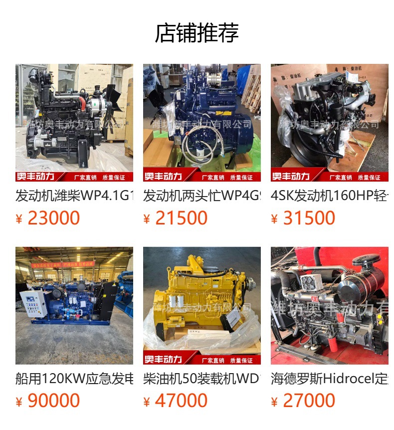 Forklift Diesel Engine, Luyu Forklift Dedicated 4102 Diesel Engine, Hdwzg-55 Diesel Engine