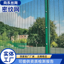 358密纹网监狱看守所巡逻隔离网跨境小孔防攀爬网密纹焊接隔离网