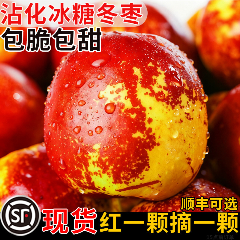 正宗山东沾化冬枣新鲜大枣水果枣子5斤当季冰糖特大甜脆红枣包邮