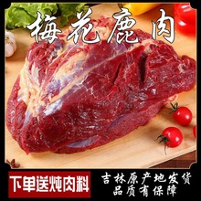 新鲜鹿肉现杀鹿肉农家散养正宗鹿腿肉东北特产冷链包邮鹿肉新鲜