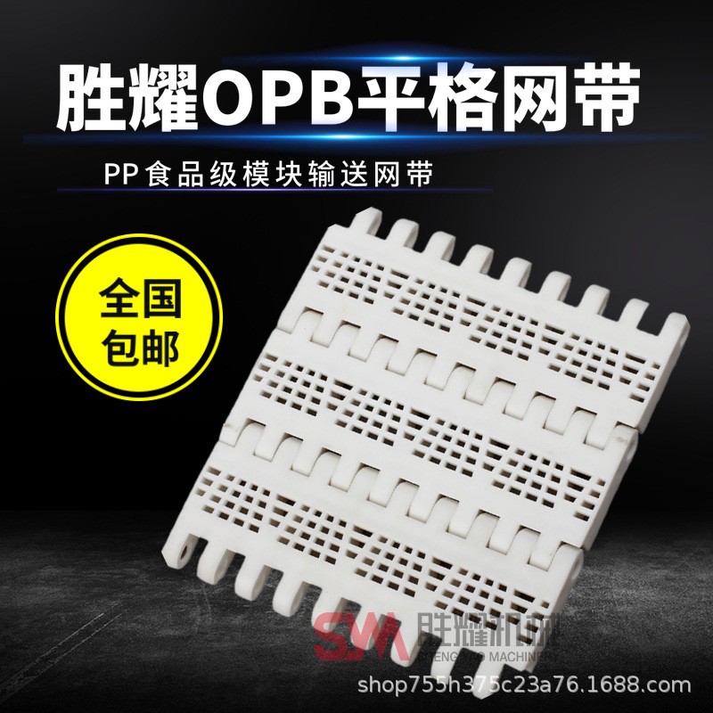 厂家直销食品果蔬输送OPB塑料网带PP网带食品模块输送带传送带