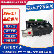 定制微型灌装磁力齿轮泵 冷却循环泵食品级316化工计量泵深圳厂家