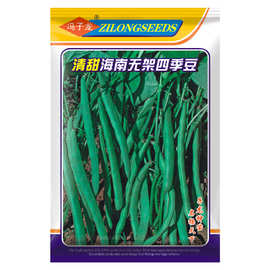 清甜海南无架四季豆 冯子龙种苗公司直售批零大田基地种植蔬菜种