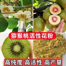 �J���һ��۫J�����ۻ��۸߻����˹��ڷ۹��ۘ伃�����ڷ�ș