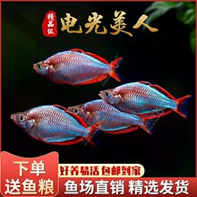 늹������~�Ꭷ�^�p�����~��������ʯ�����~���R�t�G����ˮȺ���~