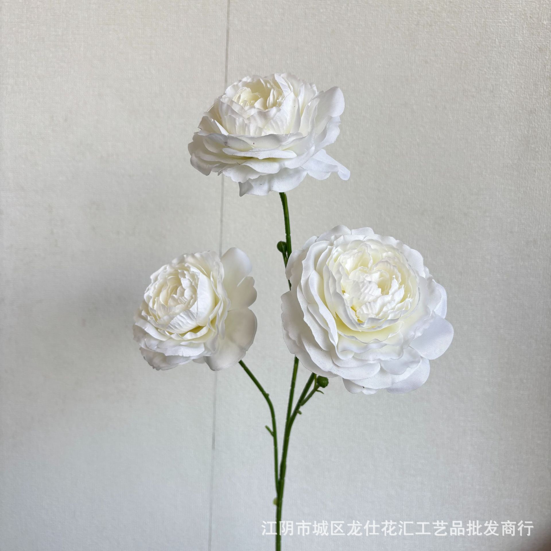 달콤한 연꽃