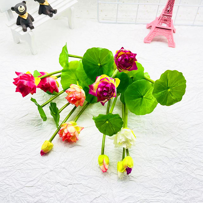 微信图片_20230628194633_副本