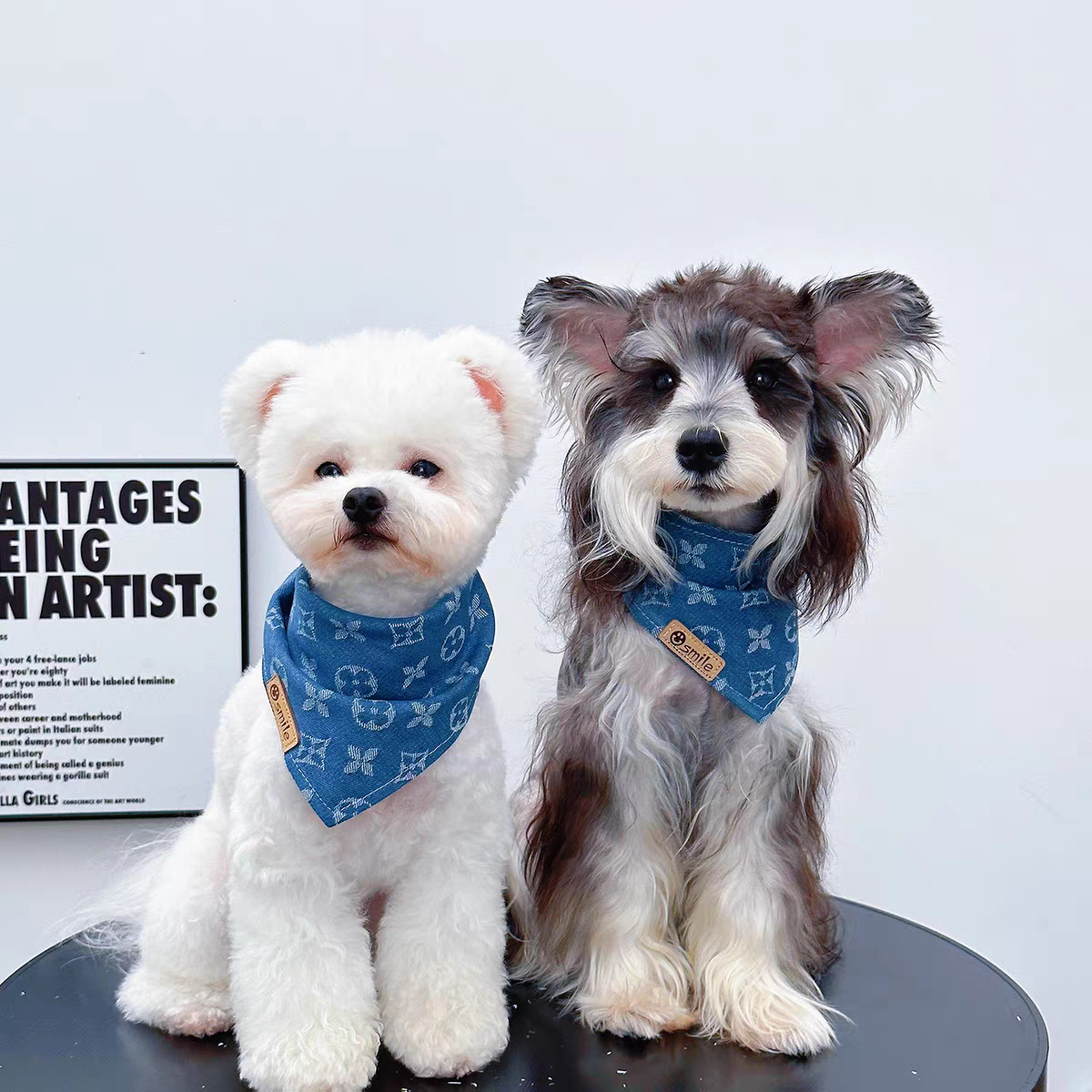 Bufandas para perros, bufandas de saliva, accesorios para el cuello, nuevos modelos clásicos, nuevas mascotas, perros pequeños, gatos, perros medianos