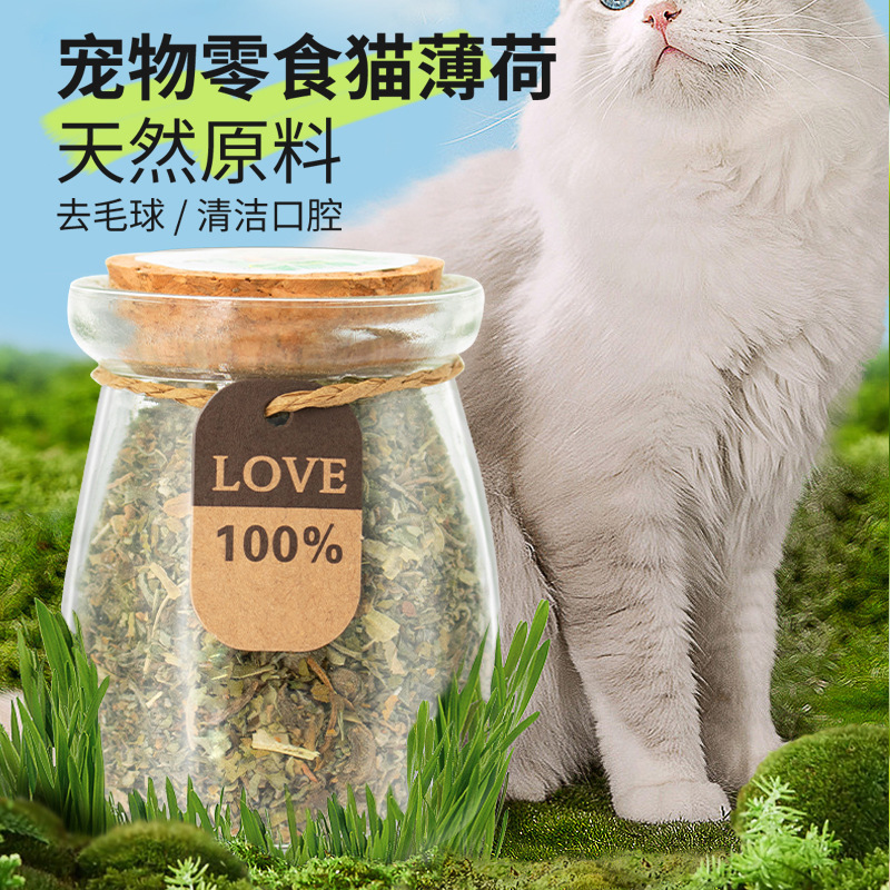 Hoja de polvo de menta gatera Aperitivos para gatos Galletas para gatos embotelladas Bolas desplumadas comestibles Limpiar la boca Cachornia para gatos