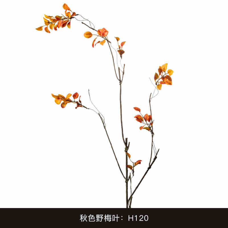 El otoño Wild Plum