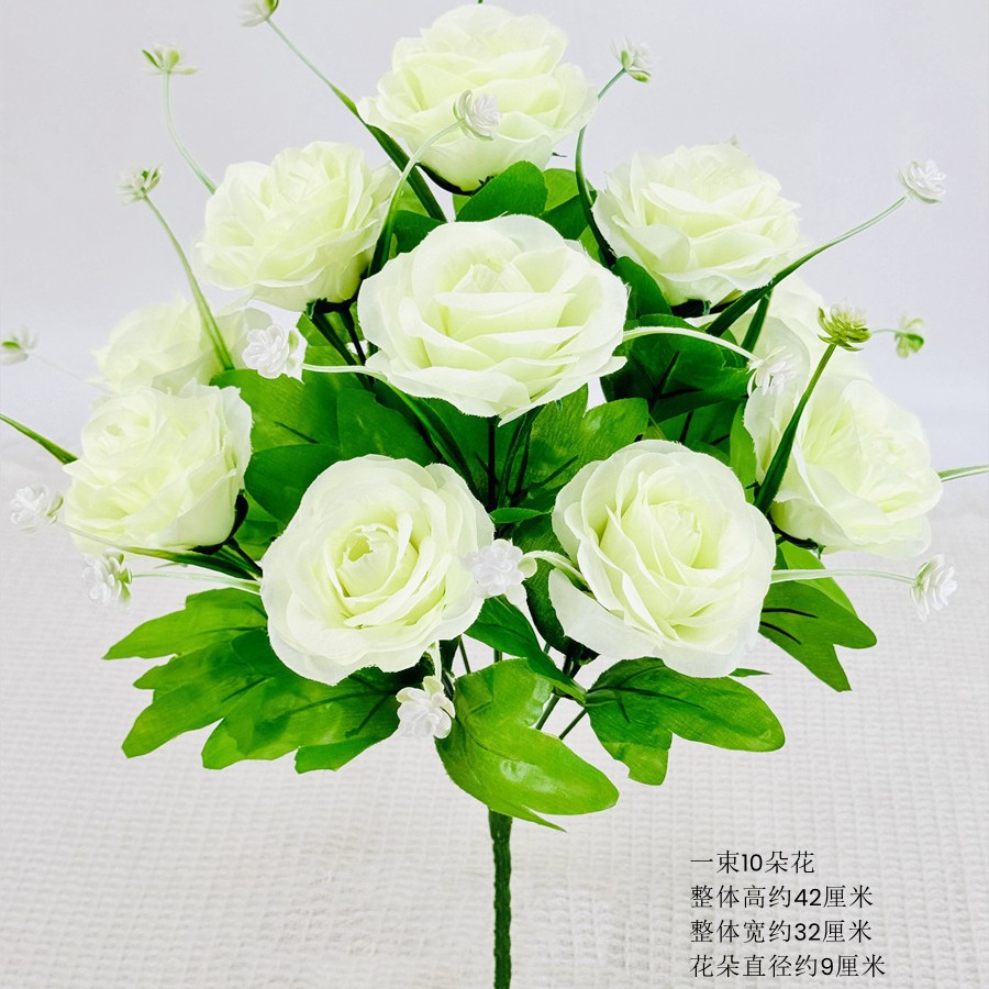 10 rosas arcoíris blancas puras