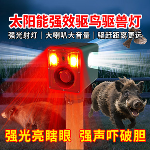 ��Ұ�i��s��5����B����̫�����sҰ�F�����s�B���B���B