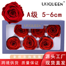 ���������õ�廨�^A��5-6cm�����Y��ɻ�diy�������l�����x�滨