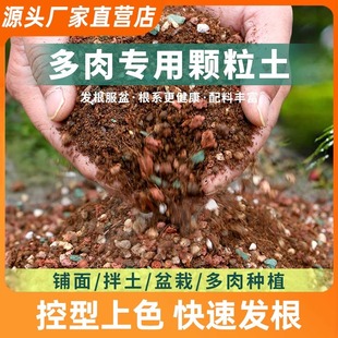 fleshy granular soil fleshy soil nutrient soil planting soil mud paving stone pure particle peat flower soil potted plant