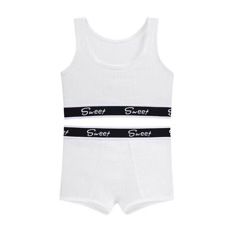 Traje deportivo de fitness europeo y americano transfronterizo Pantalones cortos para correr Ropa interior deportiva para mujer Pantalones bóxer Comercio exterior Traje de sujetador de talla grande