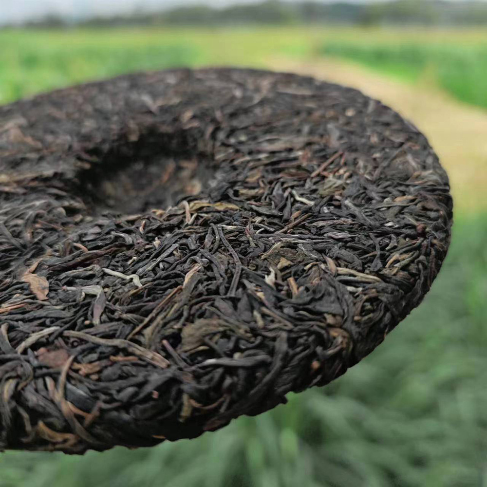 微信图片_20230630130424