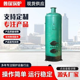 蒸汽发生器;燃煤锅炉;不脱硫除尘