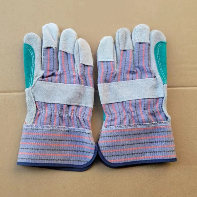 IMG_0775(20231120-213421)