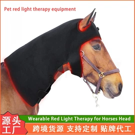 电热护膝护腰;眼保健仪;其他户外服装