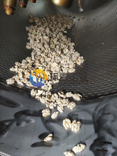 KȥƤC ƷNȥƤC hCеȥƤ99