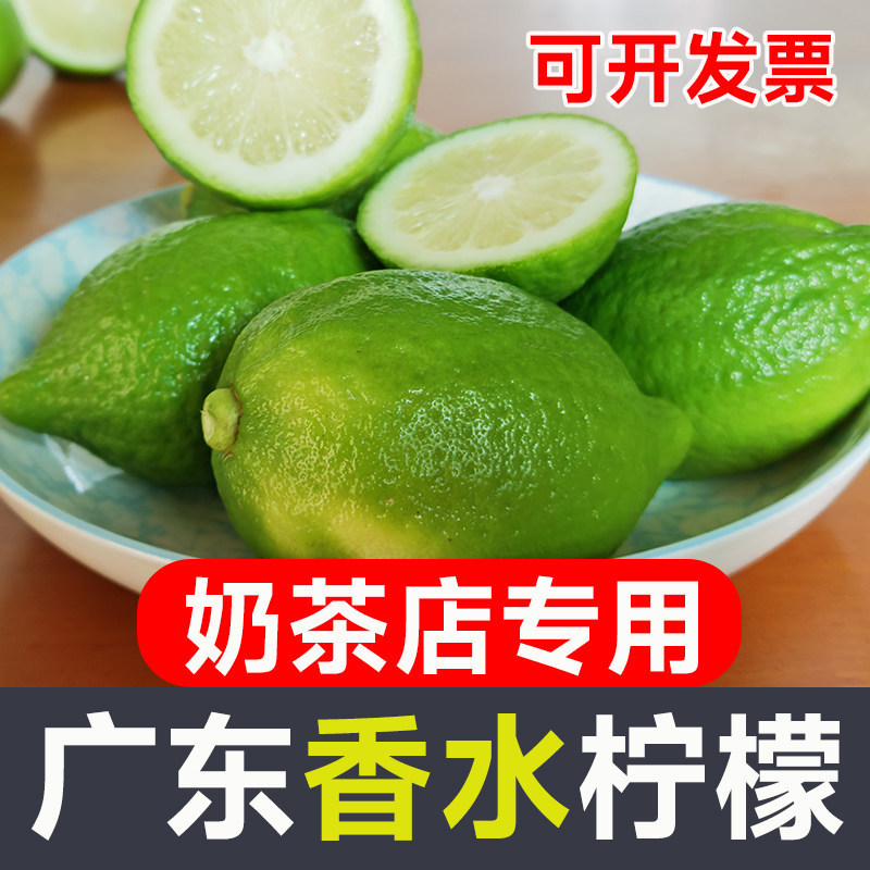 Authentic Guangdong Perfume Lemon Milk Tea Shop Uses Fresh, Seedless, Fragrant, Juicy Green Lemons for Commercial Use, Grade One Fruit