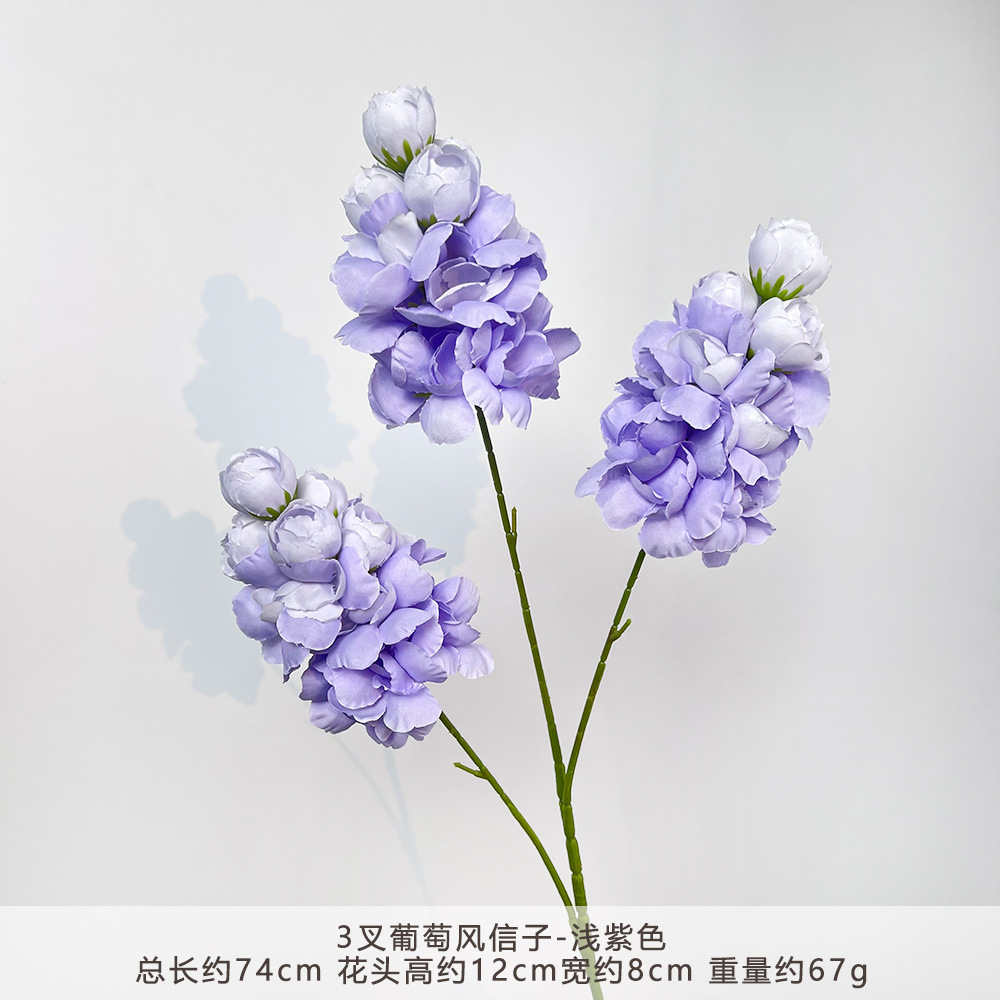CC-3叉葡萄风信子-浅紫