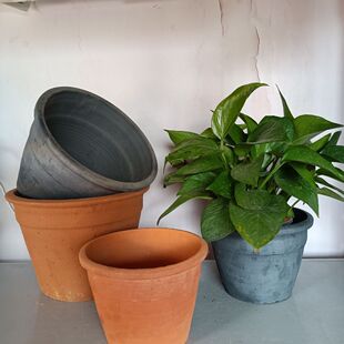 ��ʽ������͸������ �����؟����ռt���մɶ���С���� �ڏ�19����