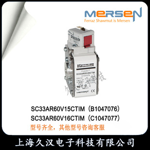Roland SC33AR60V15CTIM/B1047076 SC33AR60V16CTIM/C1047077 fuse