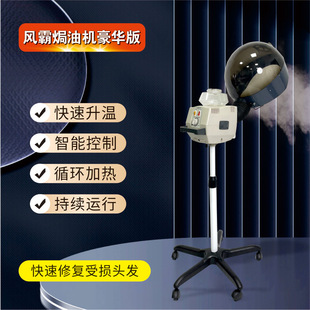 New fengba hair treatment Machine Deluxe Edition hair salon special spray atomization cooling hair treatment cap factory direct sales