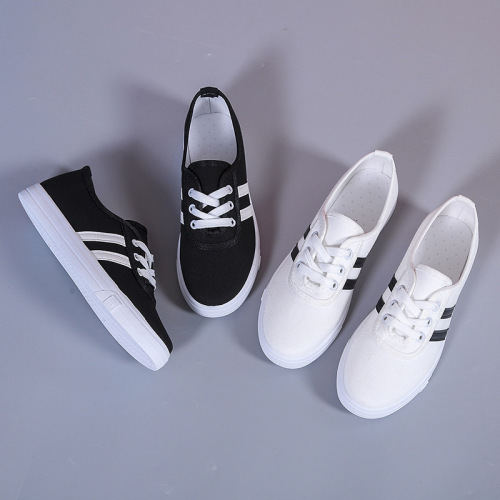 Spring and Summer Breathable Canvas Sneakers, Flat White Sneakers in Korean Style for Students, Ins Style Shoes for Girls, Net Sneakers